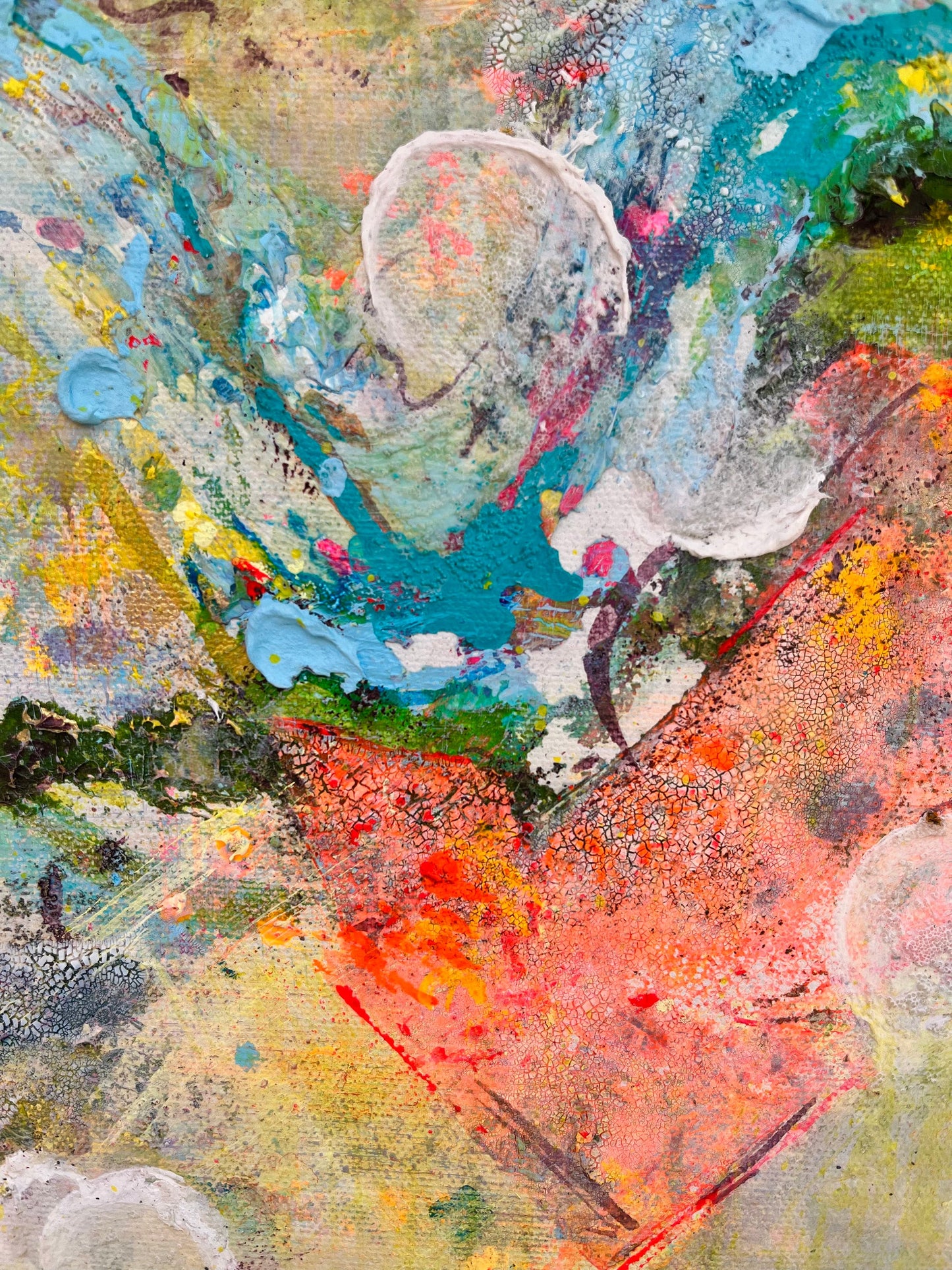 Forest Heights From Above